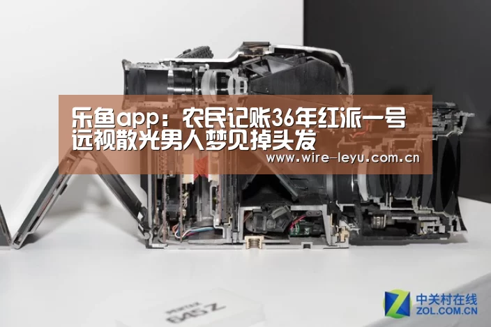 乐鱼app