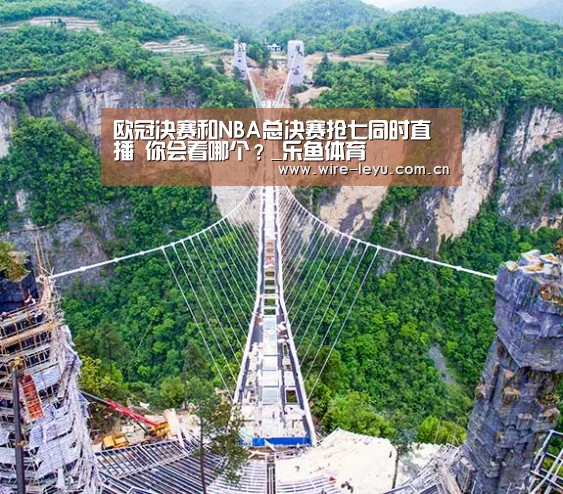 乐鱼