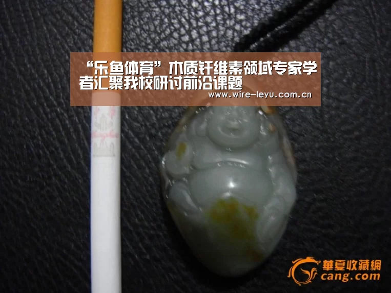 乐鱼电竞