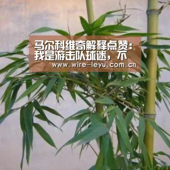 乐鱼体育