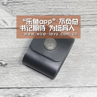 乐鱼