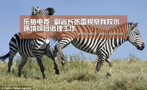 乐鱼电竞