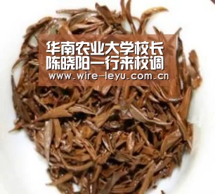 乐鱼体育